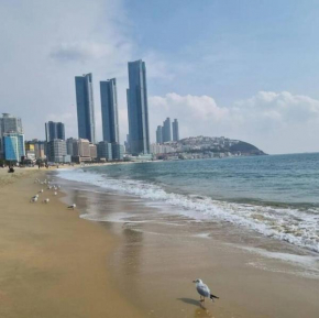 Haeundae Beach Apt near the sea /Free parking